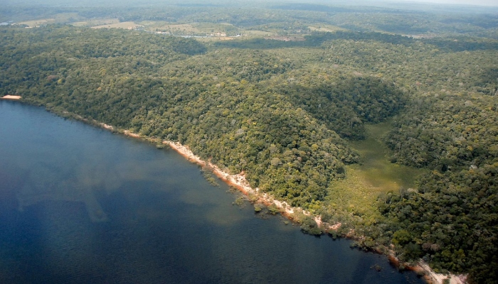 Desmatamento no Amazonas tem queda de 55% no primeiro semestre de 2023