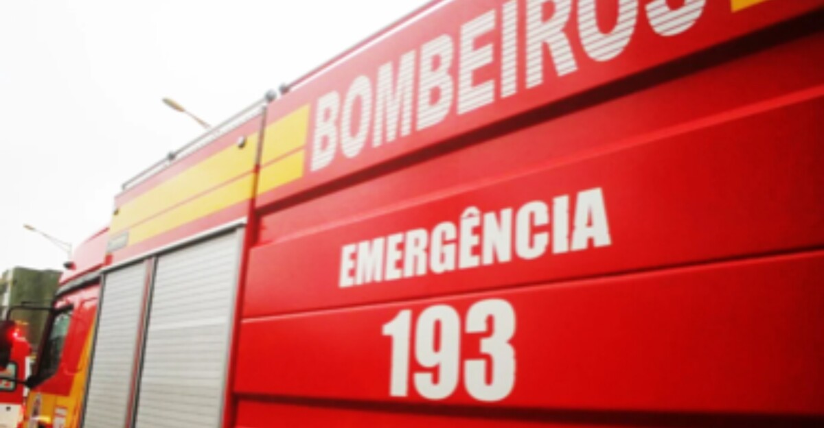 Menina m0rre esmagad4 ao ser atropelad4 pelo irmão em garagem
