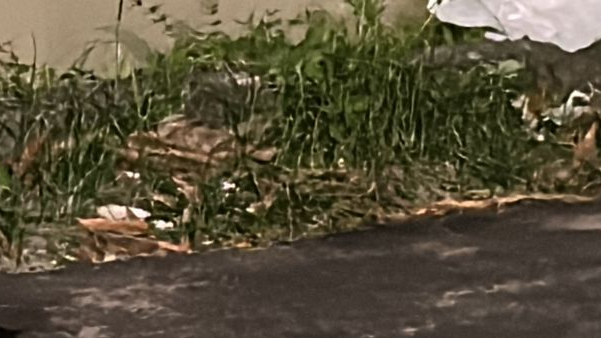 ‘Vai roubar no inf3rno’: justiceiro m4ta assaltante que tocava o terror em Manaus; veja vídeos