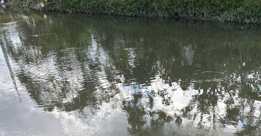 URGENTE: c0rpo de homem é encontrado boiando em igarapé da Vila Amazonas; veja vídeo