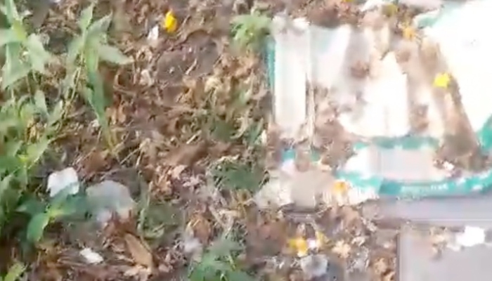 URGENTE: ped4ços de c0rpo esquartej4do são encontrados na Comunidade Mundo Novo; veja vídeo