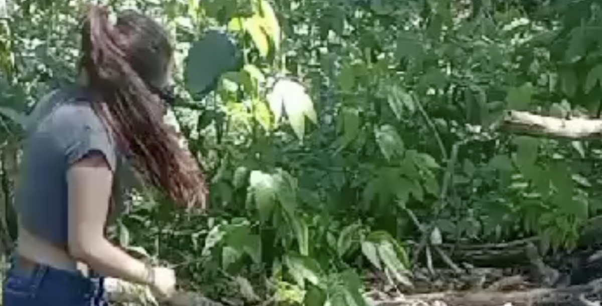 ‘Chefona’ do tráfico perde a paciência e manda capturar ladra no Zumbi: “Aguenta calada!”; veja vídeo