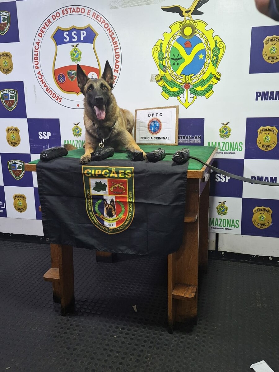 Base Arpão: Policiais apreendem pasta base de cocaína durante abordagem à embarcação em Coari