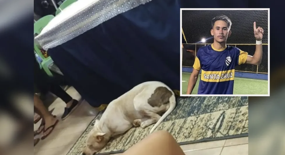 Amor incondicional: cadelinha acompanha velório do tutor m0rto em acidente e comove amigos e familiares