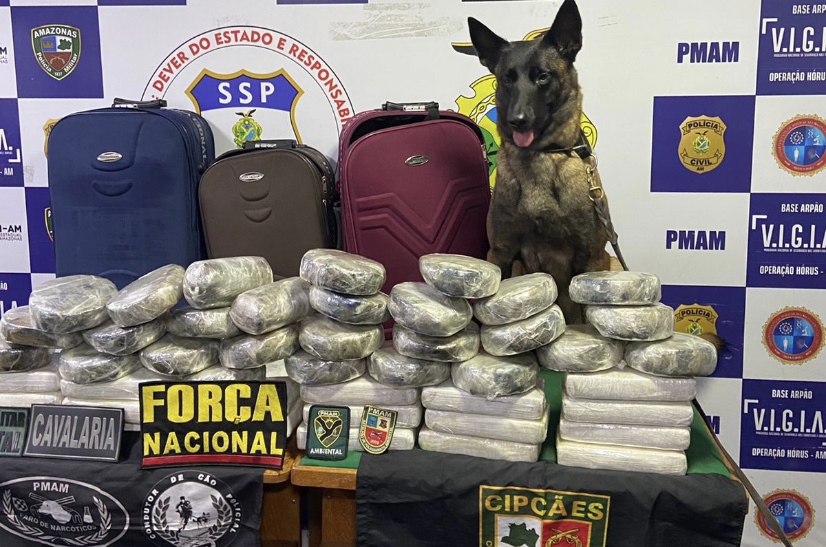 Organizações criminosas têm prejuízo de R$ 47,9 milhões devido às ações da Base Arpão