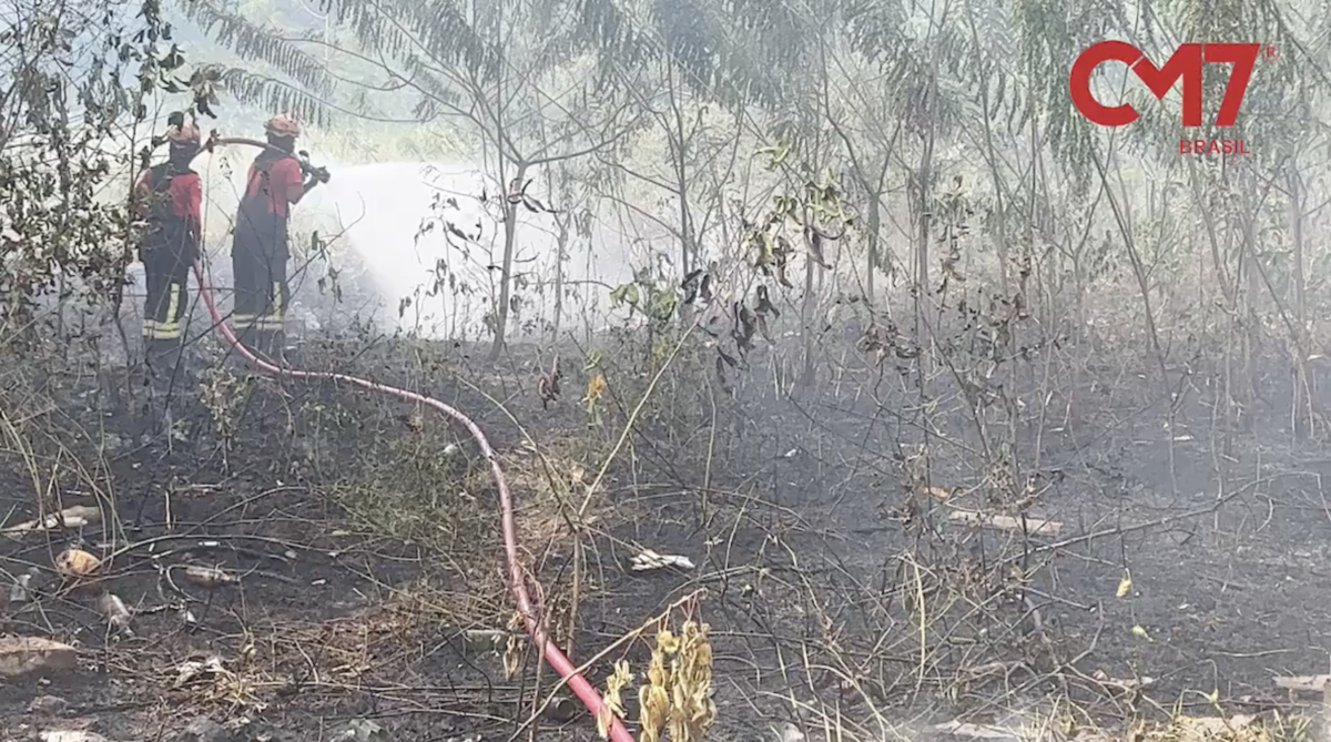 Matagal na Compensa é alvo de incêndio criminoso; veja vídeo