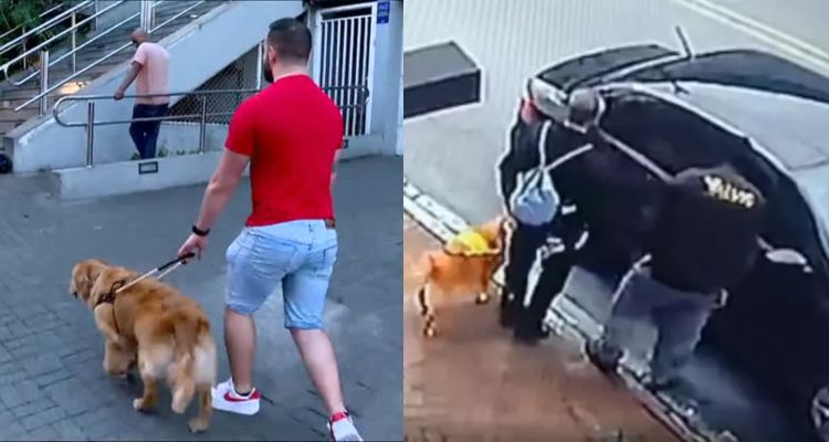 Jovem cego processa empresa de aplicativo por não conseguir embarcar com cão-guia