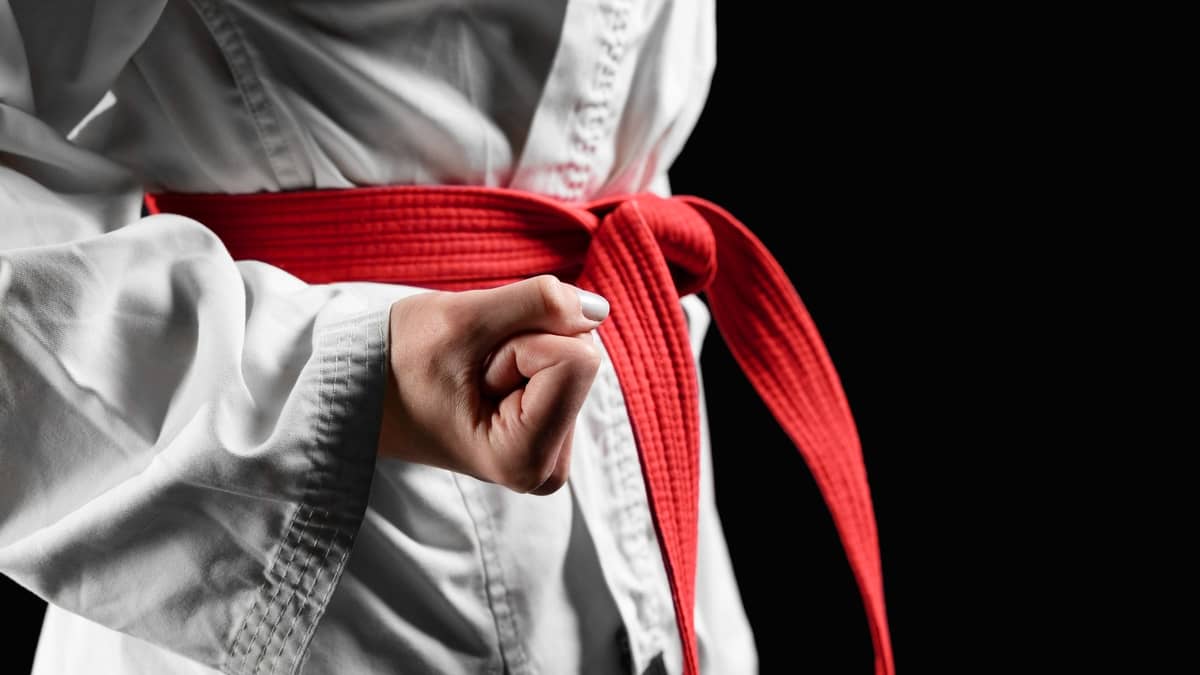 Lutadora de 16 anos dá m4ta-leão em tarado que a ass3diou dentro de ônibus