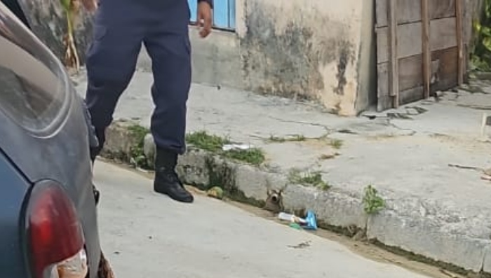 Criminosos que realizavam roubos na zona Leste levam a pior após trocarem t1ros com a PM; veja