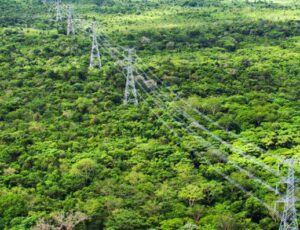 Desligamento do Linhão do Tucuruí provoca apagão em Manaus e no interior do AM