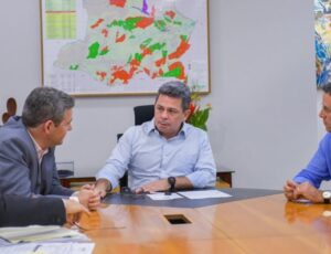 Amazonas e Governo Federal abrem diálogo para encerrar vacinação contra febre aftosa até 2025