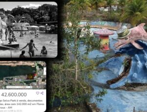 "Nostalgia e tristeza": Selva Park é anunciado para venda na OLX por R$42,6 Milhões; veja vídeo