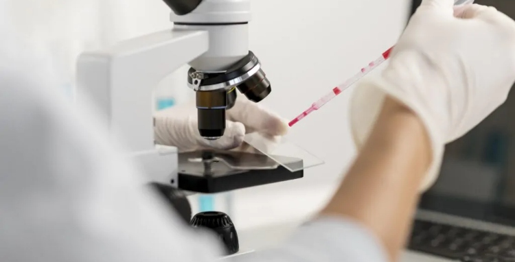 Mutirão “Meu pai tem nome” oferta exames gratuitos de DNA neste sábado em Manaus