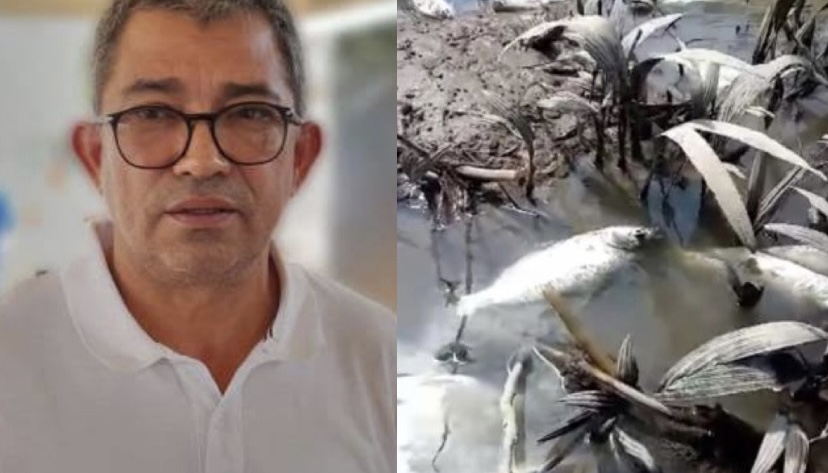 ‘Crime ambiental’: prefeitura de Iranduba é acusada de causar m0rte de peixes no município