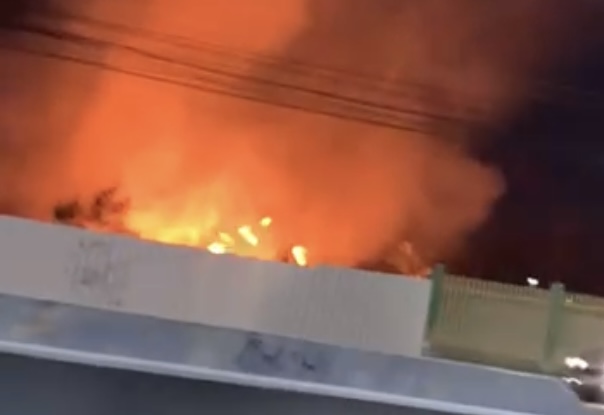 Urgente: incêndio se espalha em área de mata no Armando Mendes; veja os vídeos