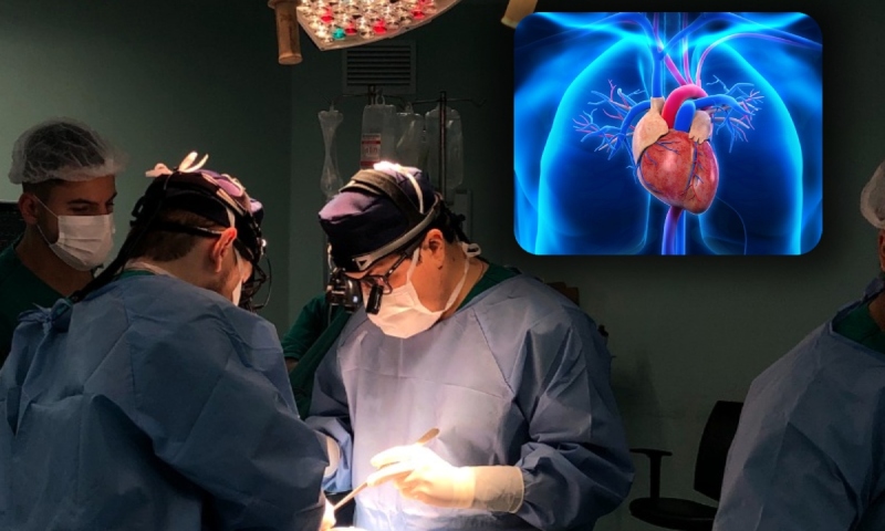 Cada transplante de coração no Brasil custa em torno R$ 37 mil para o SUS, diz Ministério da Saúde