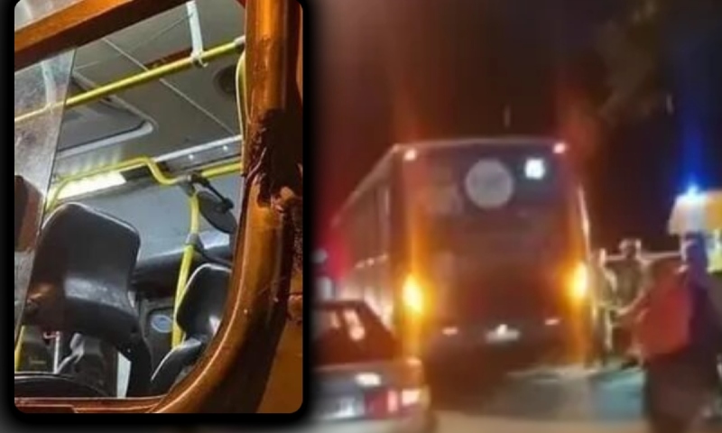 Jovem curiosa põe c4beça para fora de janela de ônibus e o pior acontece; veja vídeo