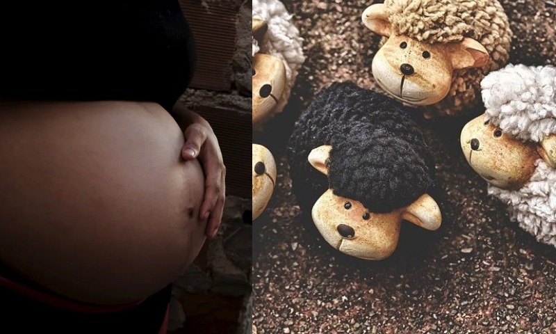 “Você é a ovelha negra da família”, disse homem antes de estupr4r a própria irmã em Manaus; veja vídeo