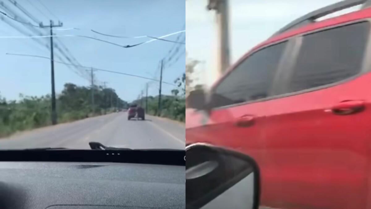 Crueldade: motorista usa corda e arrasta cachorro pelo pescoço em carro no Amazonas; veja vídeo