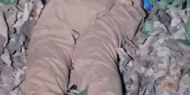 CENAS FORTES: vulgo ‘Chico’ é fuzil4do com mais 10 t1ros em Manaus