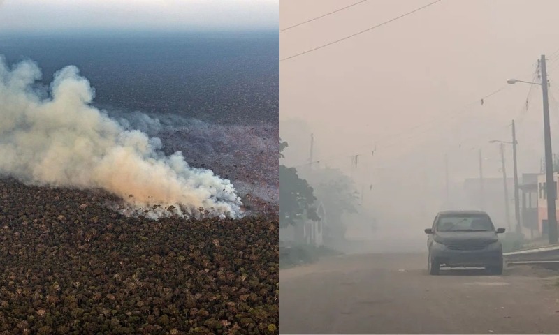 Fumaça tóxica das queimadas no interior do AM continua chegando em Manaus; veja vídeo