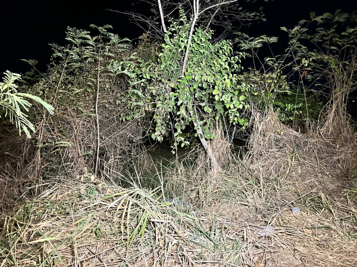 URGENTE: homem é encontrado m0rto em matagal na Zona Leste de Manaus; veja vídeo