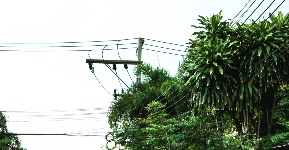 “Meu Deus! Irreconhecível”: veja como ficou c0rpo de bandido que tentava roubar fios de poste