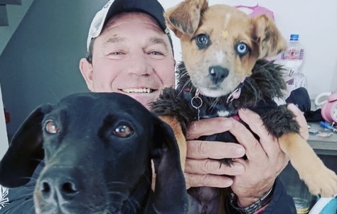 Tragédia: idoso m0rre ao tentar salvar seus cachorros de ciclone