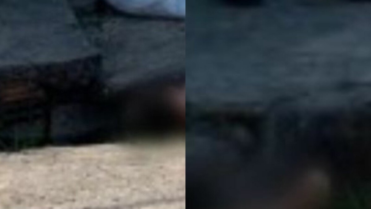 Homem é ass4ssinado com 10 t1ros e jogado em área vermelha no Novo Aleixo