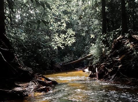 Crianças não conseguem dormir após encontrarem cadáver em Presidente Figueiredo; imagens f0rtes 