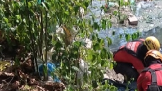 C0rpo é encontrado sendo dev0rado por urubus em igarapé de Manaus