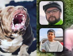 Tudo filmado: cães devor4ram homem e criança no Reino Unido; veja vídeos