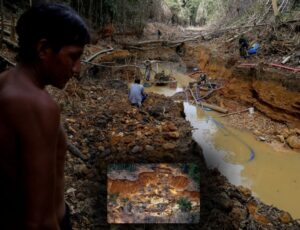 Empresários de Manaus envolvidos em contrabando de Ouro desviaram R$ 5,7 bilhões de terras indígenas