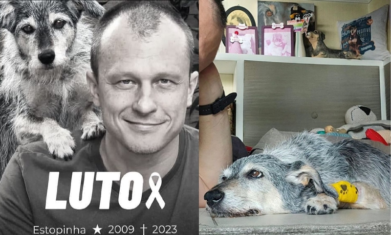 ‘Luto e saudades’: Dr. Pet mostra velório da Estopinha, 1ª influencer pet do Brasil; veja vídeo