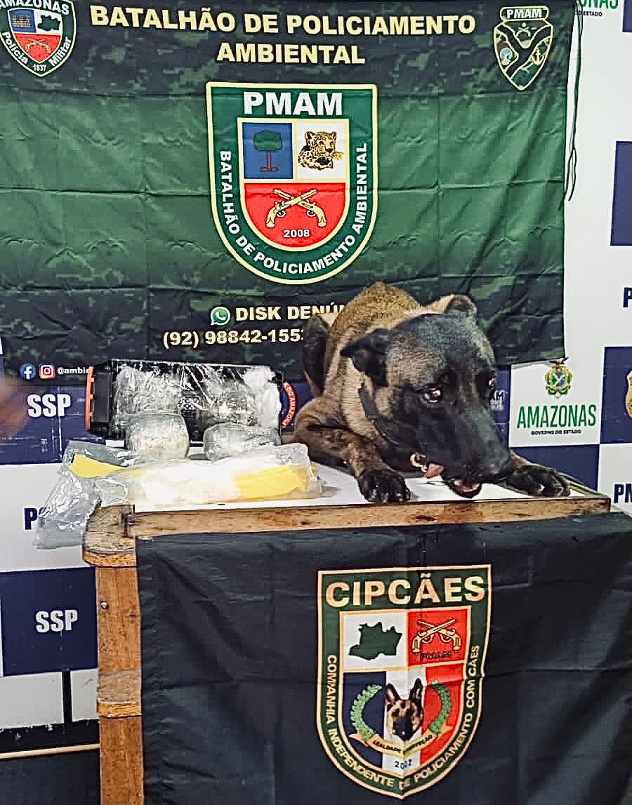 Com auxílio de cão farejador, polícia apreende droga avaliada em R$ 38 mil em Coari
