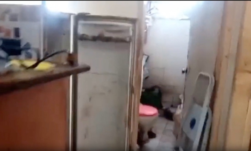 Em Choque: Legistas encontram c0rpo dentro de freezer: ‘Nunca vimos isso na vida’; veja vídeo