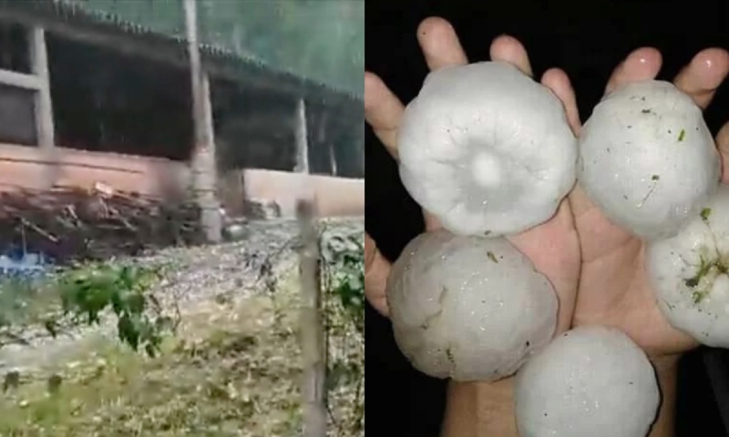 Mulher é atingida por pedra de granizo e sofre traumatismo craniano; veja vídeo