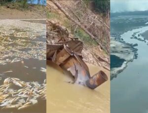 Peixes mortos, barcos encalhados e miséria: amazonenses estão sofrendo com estiagem; veja vídeos