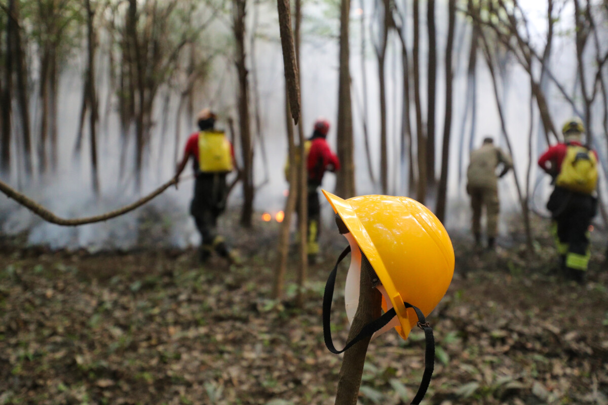 Corpo de Bombeiros monta força-tarefa para combater incêndio em área de mata em Iranduba