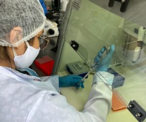 Estudo investiga a influência que as mutações genéticas podem causar em pacientes com malária