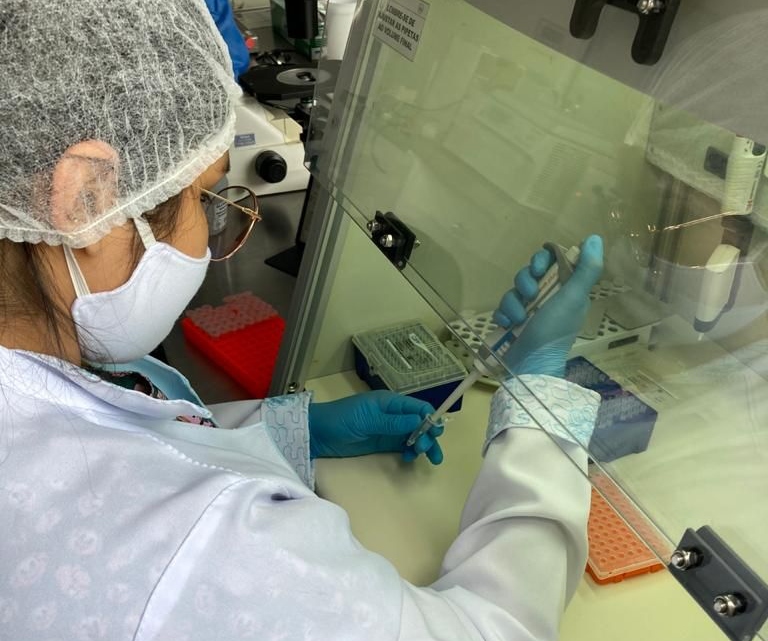 Estudo investiga a influência que as mutações genéticas podem causar em pacientes com malária