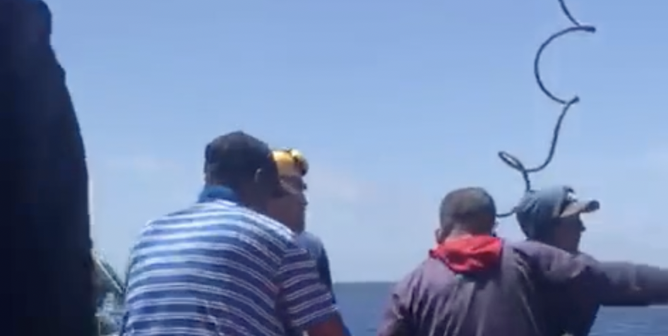 CHOCANTE: vídeo mostra resgate de homem que foi atac4do por tubarão; cenas f0rtes