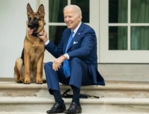Cachorro de Biden é retirado da Casa Branca após atacar equipe presidencial