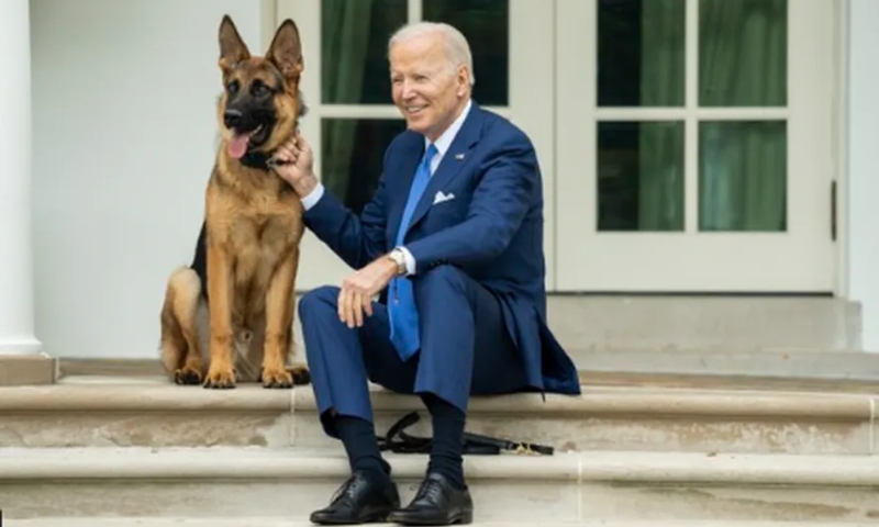 Cachorro de Biden é retirado da Casa Branca após atacar equipe presidencial
