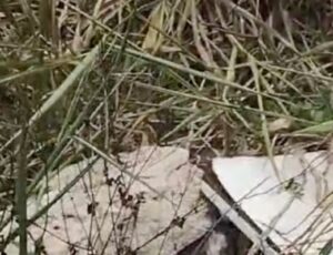 URGENTE: C0rpo é encontrado com sinais de t0rtura no Distrito Industrial; veja vídeo
