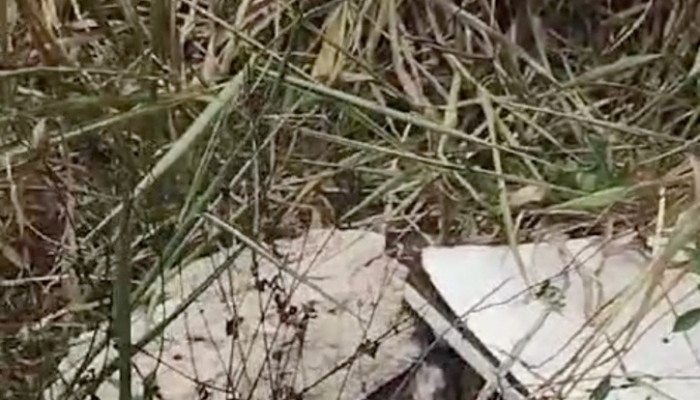 URGENTE: C0rpo é encontrado com sinais de t0rtura no Distrito Industrial; veja vídeo