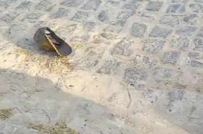 Bárbaro: jovem tem c4beça arrancad4 e j0gada na frente da casa da mãe; veja o vídeo