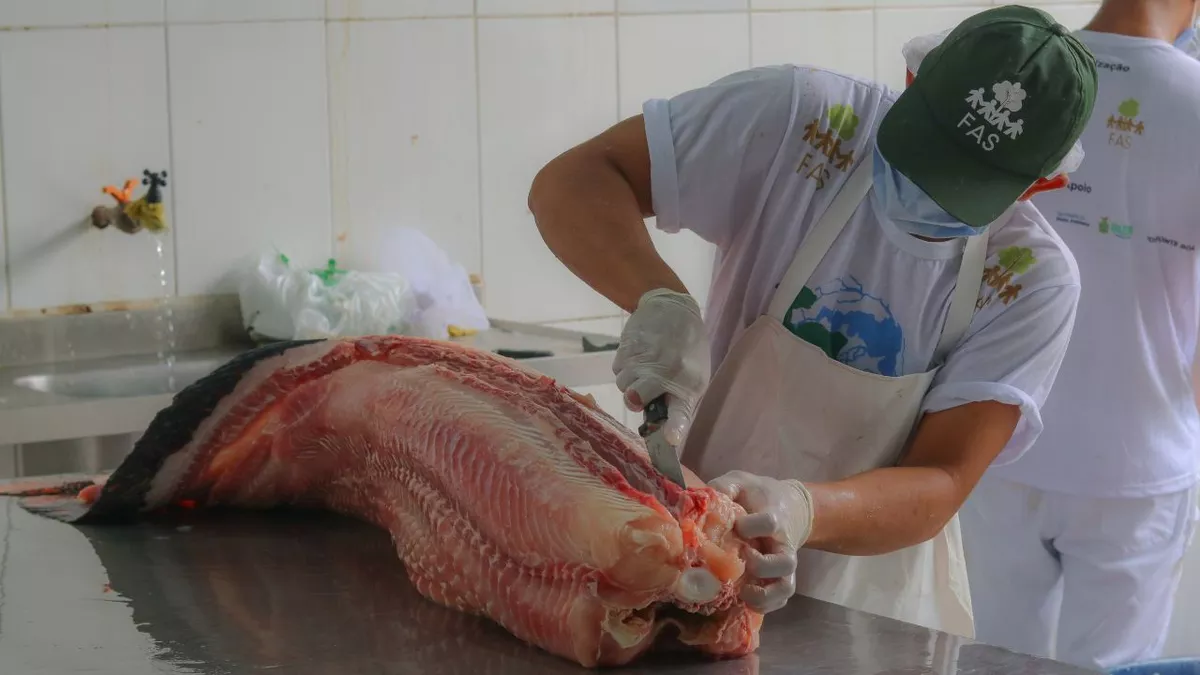 FAS realiza venda de pirarucu e tambaqui de manejo sustentável neste sábado e domingo