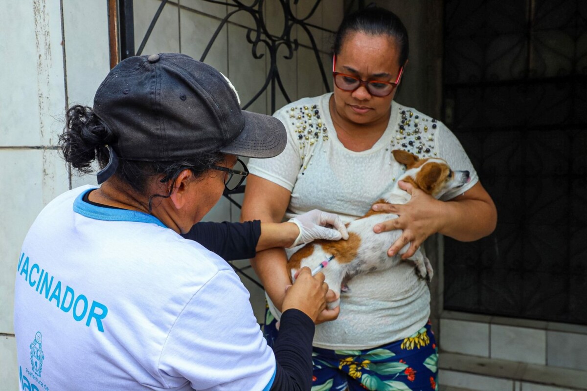 Vacinação antirrábica imuniza cães e gatos em 16 bairros de Manaus esta semana; confira