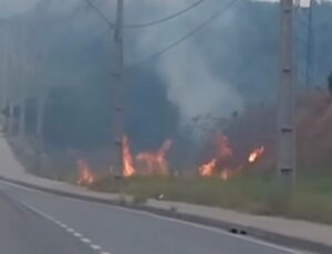 URGENTE: incêndio é registrado ao lado da avenida das Flores; veja vídeo